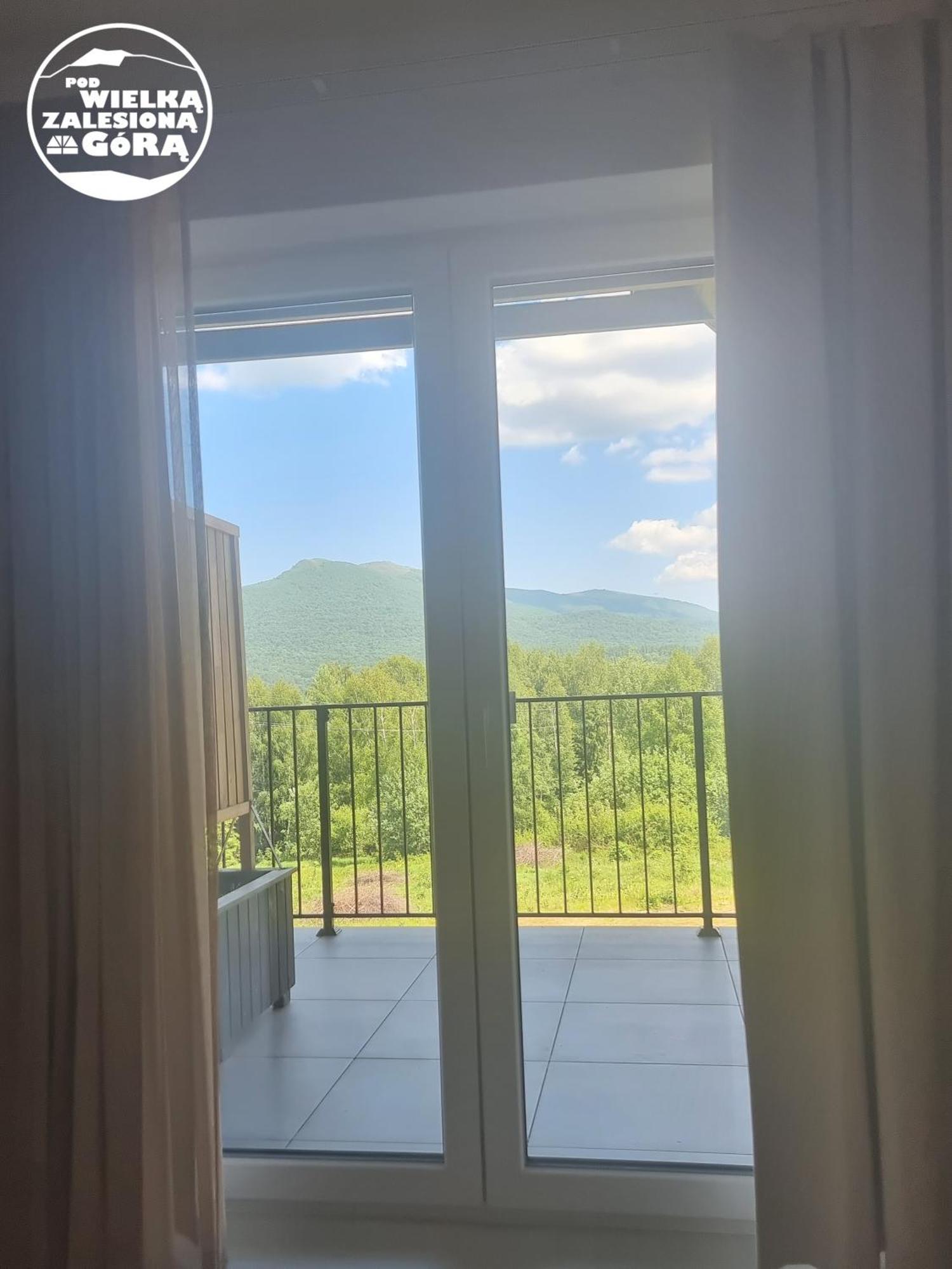 Pod Wielka Zalesiona Gora *